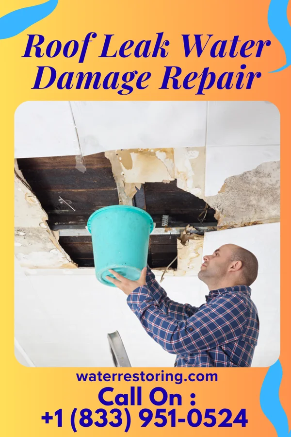 Roof Leak Water Damage Repair in Georgetown, TX